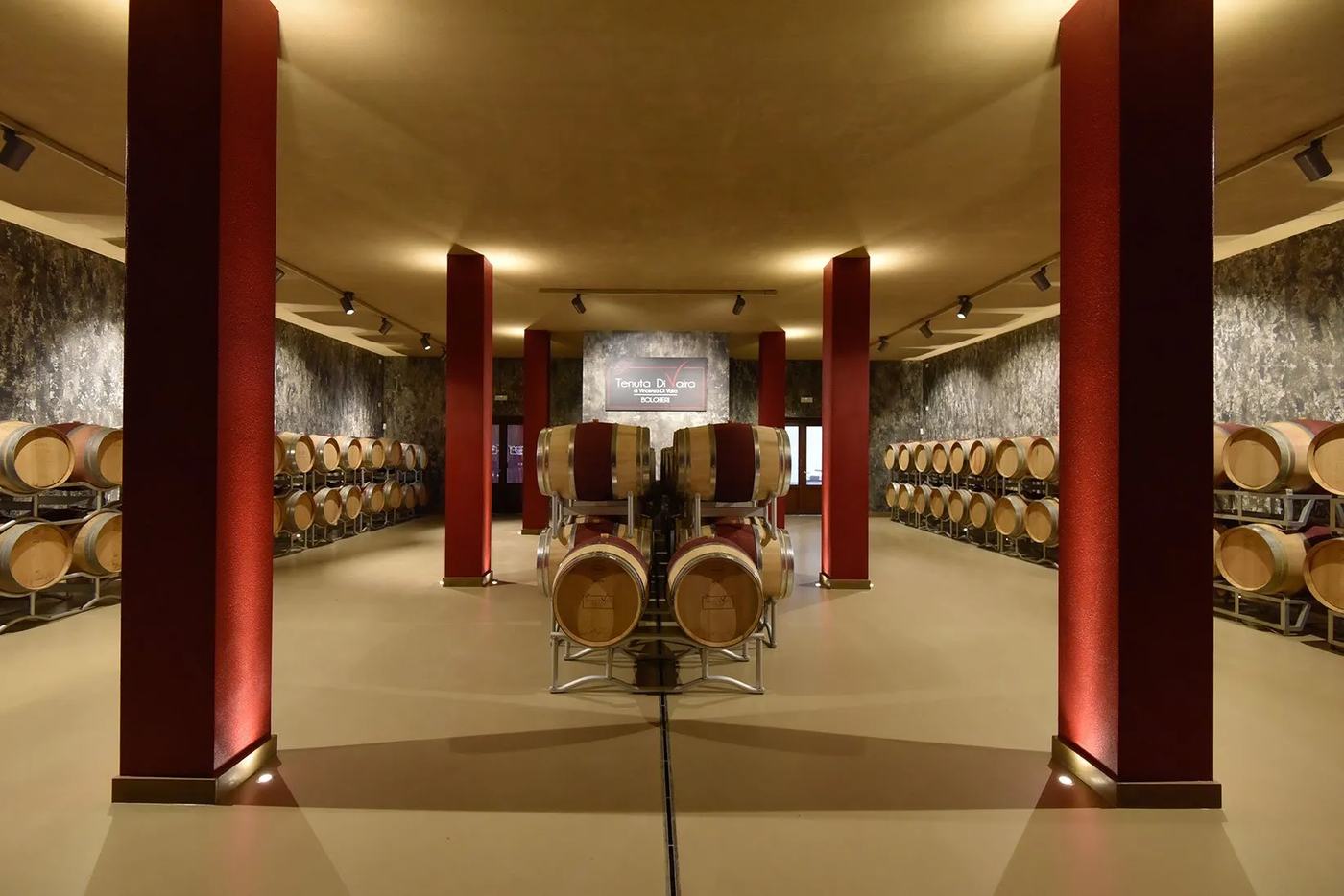 Barrel cellar in a Bolgheri winery